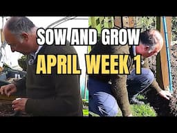 3 Seeds to Sow & 2 Veg to Plant April Week 1 for a Thriving Garden