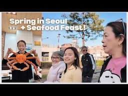 KOREA RAW VLOG! Catching the last cherry blossom in Seoul!    | Mommy Haidee Vlogs