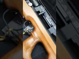 AGT Vulcan 3 Walnut 💥🎯😍 #rangetime #shootingsport #airgunshooting