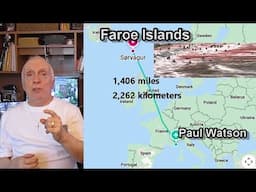 Slaughtered whales and no Paul Watson