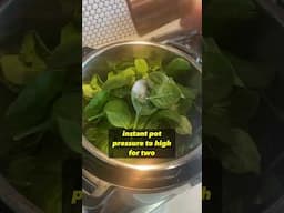 Punjabi Palak Paneer Instant Pot Recipe #thekaizenprojekt #recipe #cooking #menwhocook