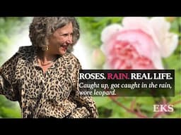 Midlife Vlog: Garden Return, Real Midlife Style & Roses in Bloom — rhythm I didn’t expect. #vlog