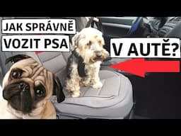 PES V AUTĚ🐶: Jak cestovat se psem? [PŘEDPISY]– Jak připoutat a vozit psa v autě?🚘(postroj pro psa)