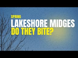 Spring Lakeshore Midges - Do They Bite?