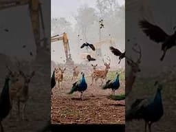 Kalyug charam seema par !!