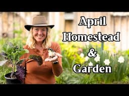 🌱What’s Happening on the Homestead & Garden in April + Tips! 🐥🍓
