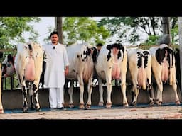 🔴Live🔴 from Gurwinder Dairy Farm,, Call- 73551 00093