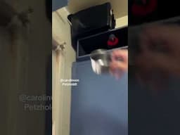 LITTLE Rainbow Lorikeet dumps HIS BIRD DISH- PARROT  Playing Mind GAMES!
