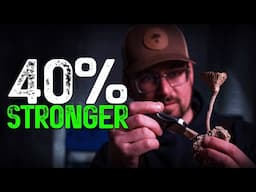 Unlocking a National Treasure: Malaysia’s Tiger’s Milk Mushroom | How It's Grown & Why It Matters