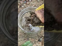 Next time I won’t use so much dirt #underconsumption #minfulconsumer