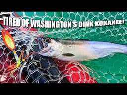 Washington Kokanee Management: 4 Ways to do Better