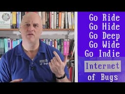 Strategies to Thrive as AIs get Better - Especially for programmers