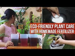 DIY Fertilizer Tips | Eco-Friendly Plant Care with Homemade Fertilizer | Plant Care on a Budget