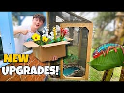 UPDATES to My EXOTIC REPTILE ENCLOSURE!! Ft: Paul Cuffaro