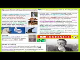 SPESSO IL MALE DI VIVERE HO INCONTRATO  (MONTALE) spiegazione analisi commento e figure retoriche