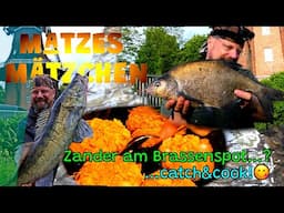 Matzes Mätzchen - Zander am Brassenplatz - Catch&Cook