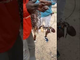 #ytshorts #youtubeshorts #shortsfeed #viralshort #kenya #magicalkenya #malindikenya
