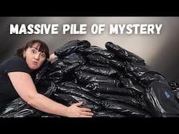 Check Out What Is In This Pile Of Mystery Bags | 128 Items For $128 | Huge Score