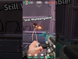 How To Counter Riot Games!