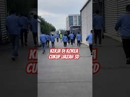 Korea gaji 15 juta cukup ijazah SD #korea #tki