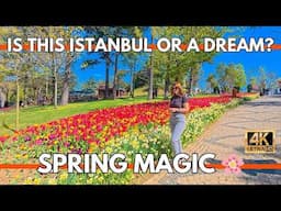 Istanbul Emirgan Park Tulip Festival 2025 | You Won’t Believe This Place is in Istanbul