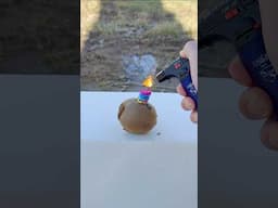 Firecracker vs Kiwi