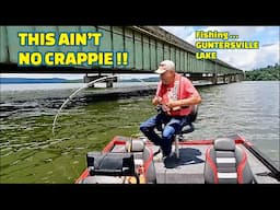 Catch MULTIPLE SPECIES of FISH using this BAIT fishing BRIDGES !!