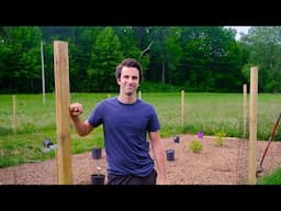 Adding Blueberries to our Homestead to be more Self-Sufficient