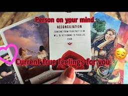 Person on your mind : Current true Feeling/emotions for you❤️‍🔥🫣Hindi tarot card reading