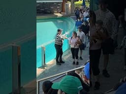 Wait for the crowd reactions 💀 Tom mime Seaworld #seaworldmime #funny #tomthemime #shorts