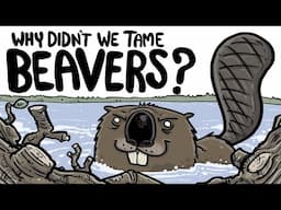 Why Didn't We Domesticate Beavers?