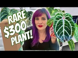 Wishlist Plant UNBOXING! 📦🪴😍