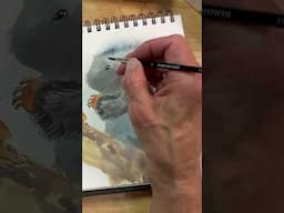 Mixed Media Porcupine SUPERVISION Watercolors 40% Coupon link in comments #watercolor #naturelovers