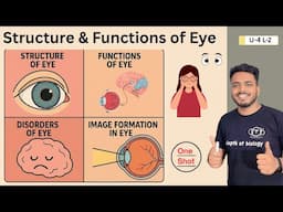 Eye Structure | Eye functions | Eye Disorders | Eye Anatomy | Eye physiology | Human eye #humaneye