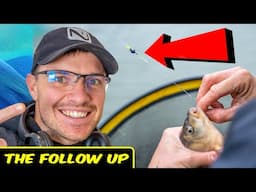"This WON Me The Match" | Match Fishing Secrets! | THE FOLLOW UP!
