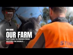 Rescue horse finds her saddle …