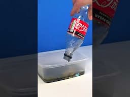 Coca Cola, Fanta, Sprite and Mentos | Experiment #Shorts