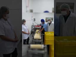 How to Slice the Mango for Pickled Business #shorts #shortvideo #viralvideo