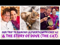 Rancho La Puerta 2025 with ​⁠@CHEFAJ & The Story of Dove (the cat)