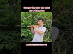 Sương trắng miền quê ngoại - Sáo trúc La trầm #caotriminh #0906020468