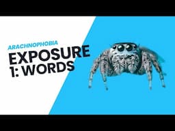 Arachnophobia Exposure 1 - Words