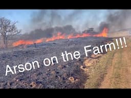 Video Diary on the Farm No.153