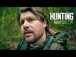 Stealth Rainforest Fallow Deer Hunting