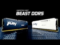 DDR5 Memory with speeds up to 6800MT/s – Kingston FURY Beast DDR5