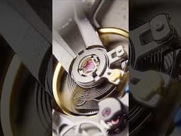 Getting Up Close: The 360° Microscope