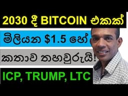 2030 දී BITCOIN එකක් මිලියන $1.5 හේ කතාව යළි තහවුරුයි!!! | ICP, TRUMP, UI, SOL, AND LTC