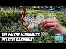 The Paltry Economics of Cannabis