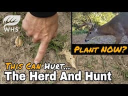 Worst Time To Plant Food Plots For Deer