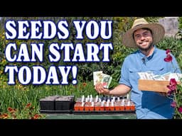 ALL The Seeds I'm Starting NOW For My Summer Garden!