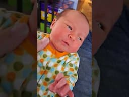 Newborn baby Winter is wide awake today! #baby #cute #newborn